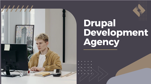 Drupal Website Development Company in Dubai: Get The Most Out Of Your Project